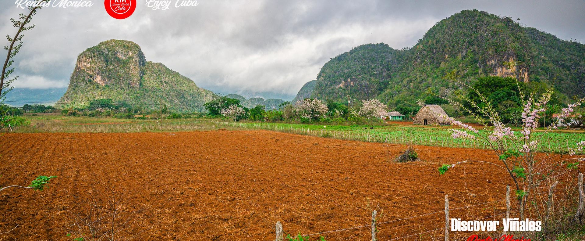 Casa Yuni Viñales Rentas Monica Cuba