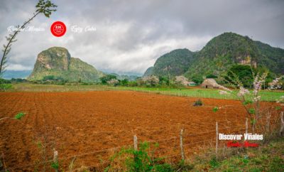 Casa Yuni at Viñales (WiFi and tours)